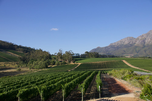 Stellenbosch