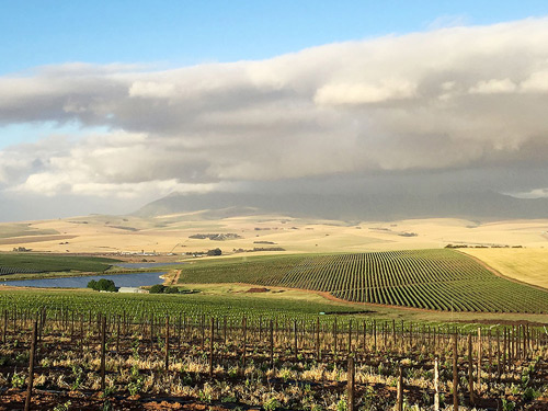 Swartland