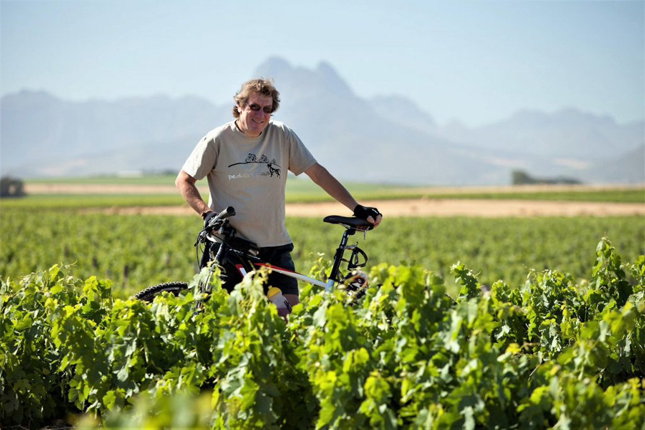 Painted Wolf Wines – Wijn met hart voor natuur en mens