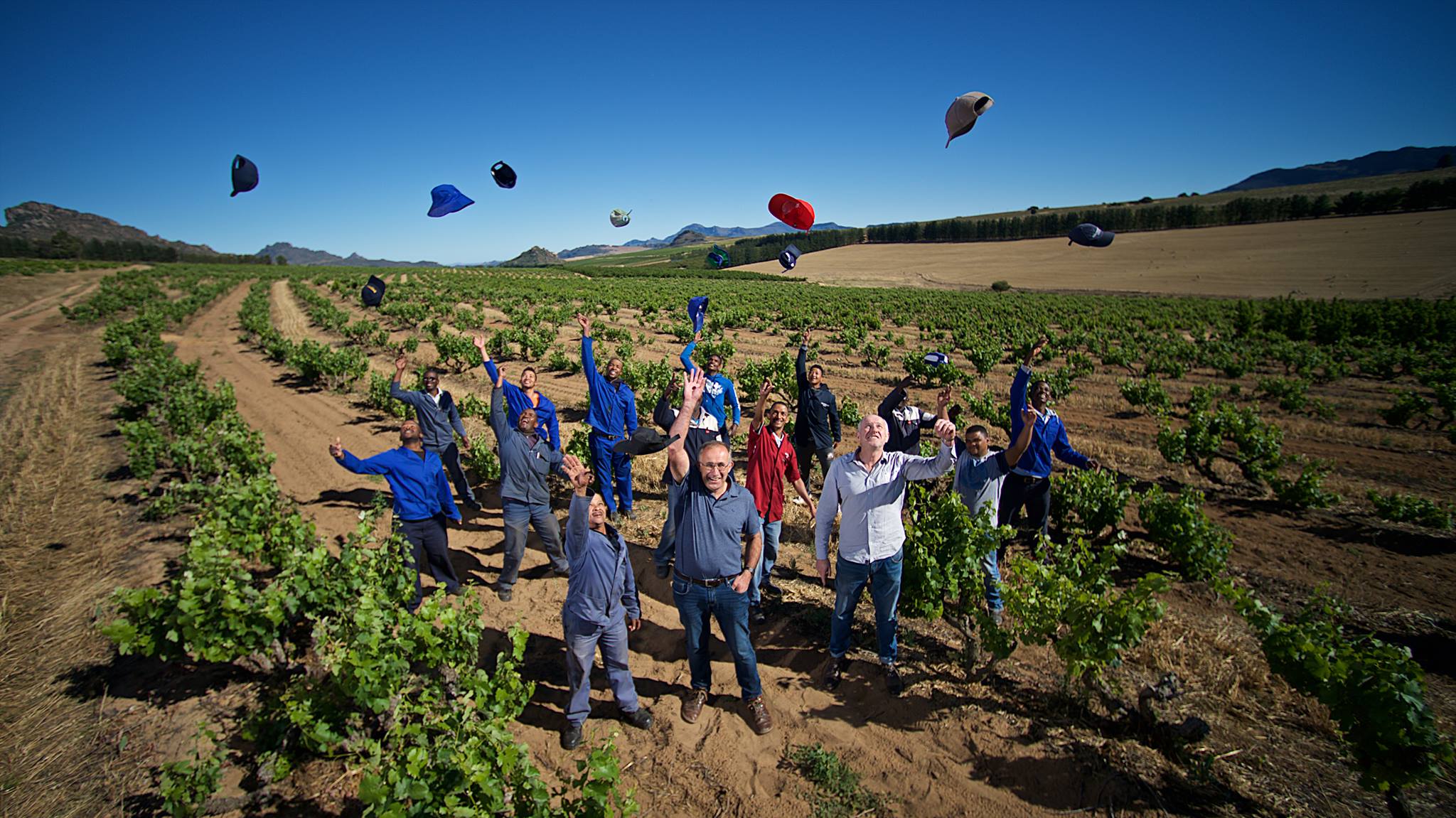 Piekenierskloof Wine Company