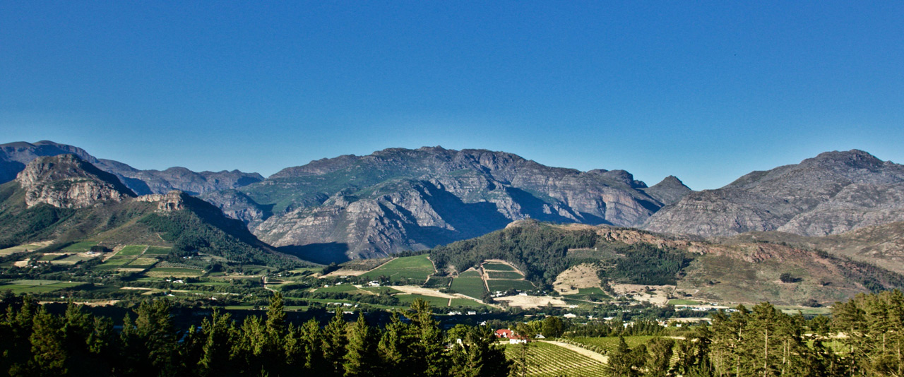 La Chataigne