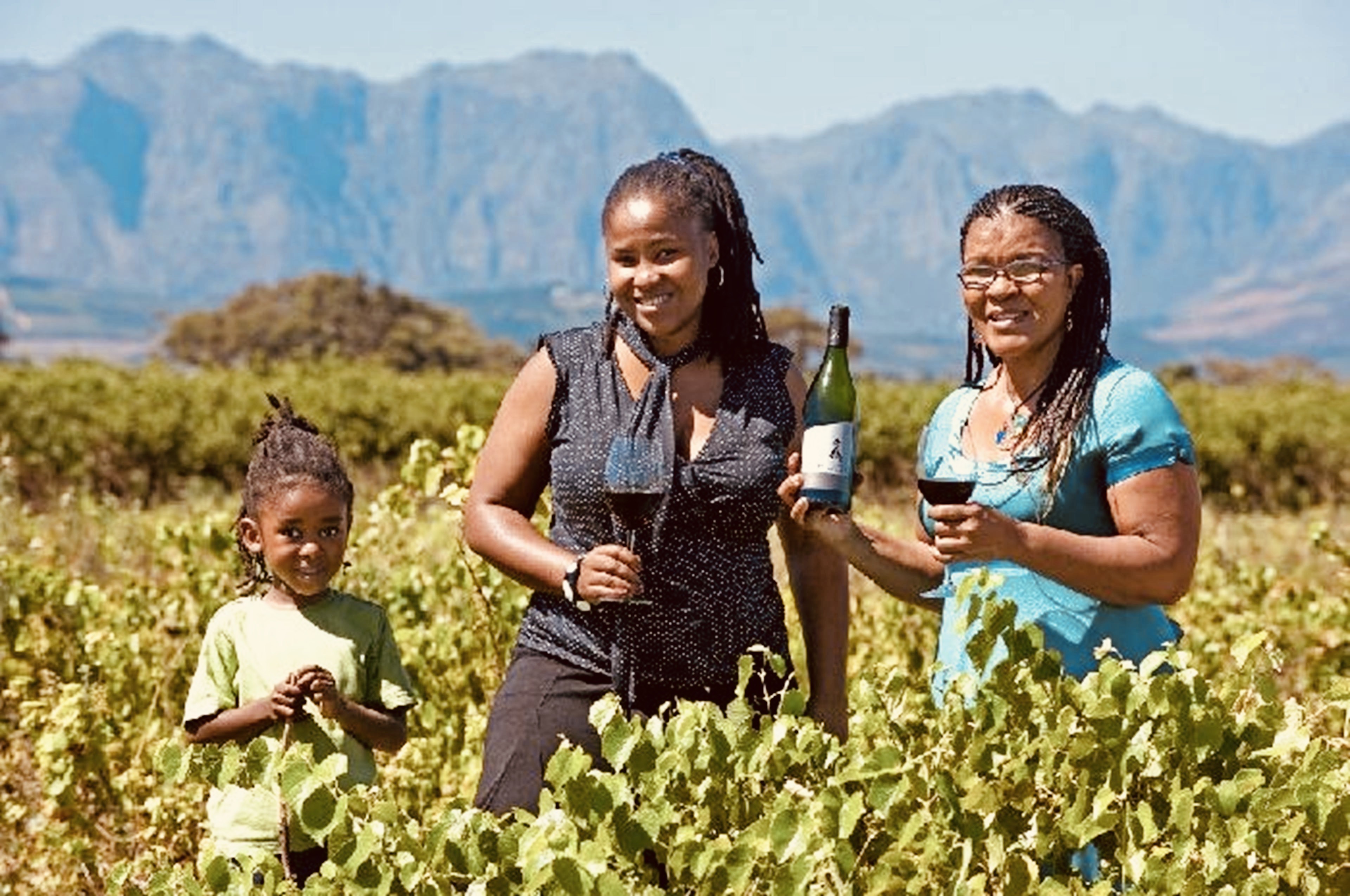 Mhudi Wines
