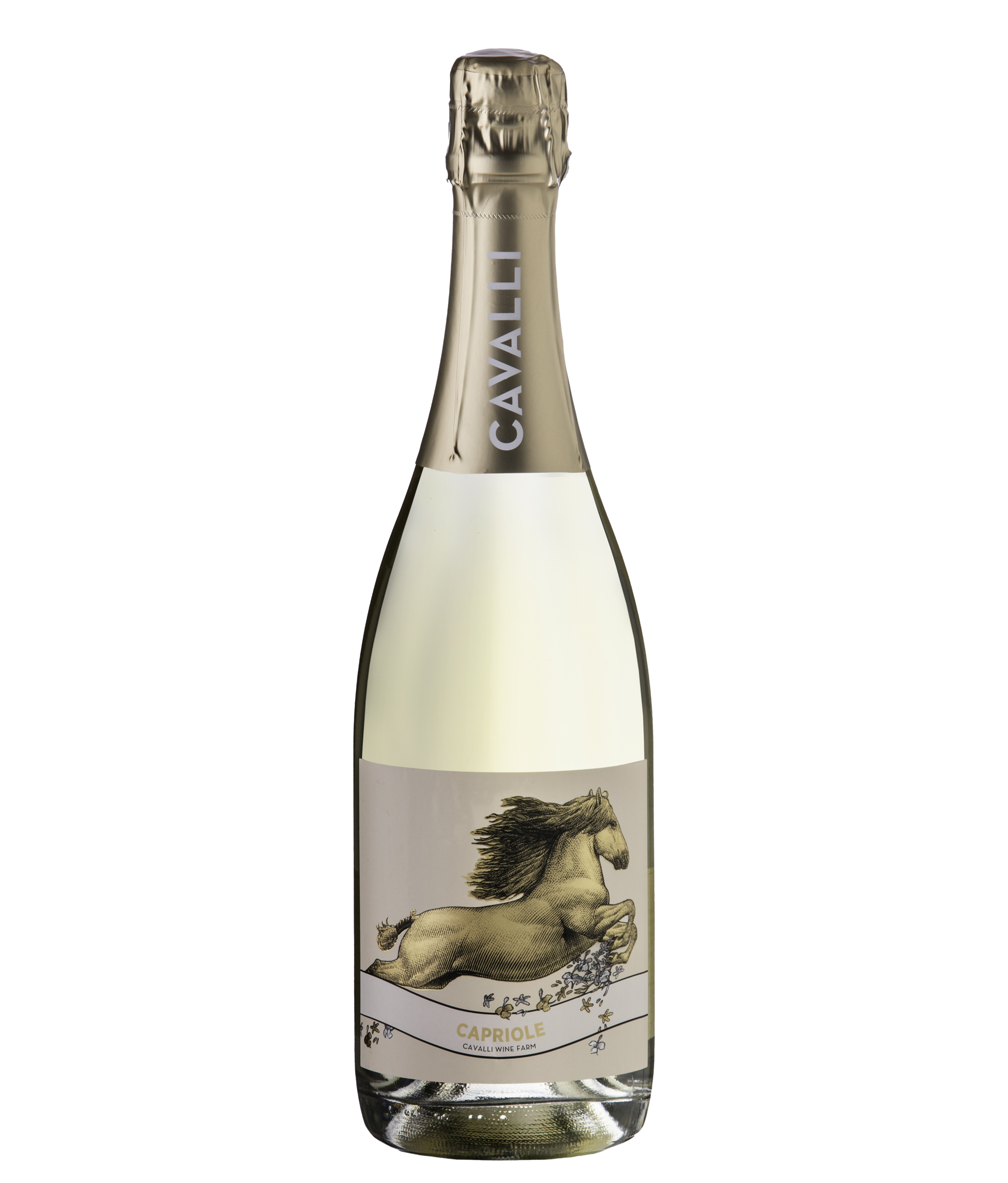 MCC Capriole '19